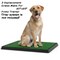 Pet Adobe Pet Adobe Artificial Grass Replacement Mats, 23x18.5 373787SHA - alternate 5